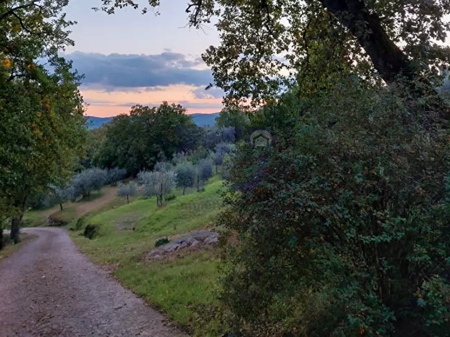 Immagine 9 di Casa indipendente in vendita  in Pieve San Giovanni a Capolona