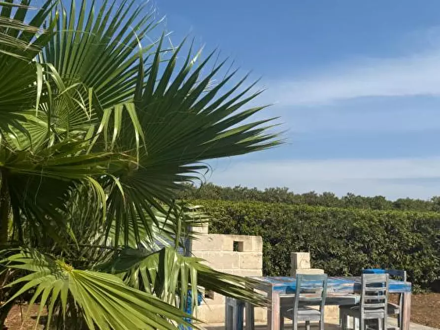 Immagine 52 di Villa in vendita  in Specchiolla a Carovigno