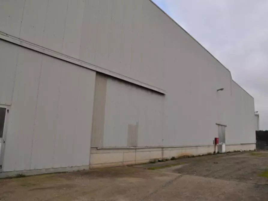 Immagine 6 di Capannone industriale in vendita  in Contrada San Nicola, N. 16 a Melfi