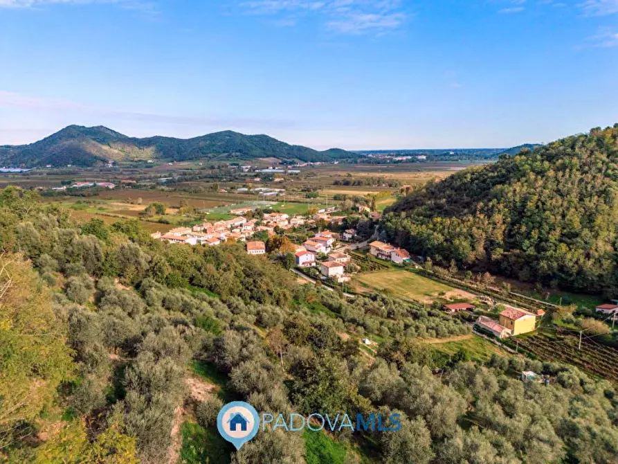 Immagine 2 di Villa in vendita  in Via Fratelli Cervi a Galzignano Terme