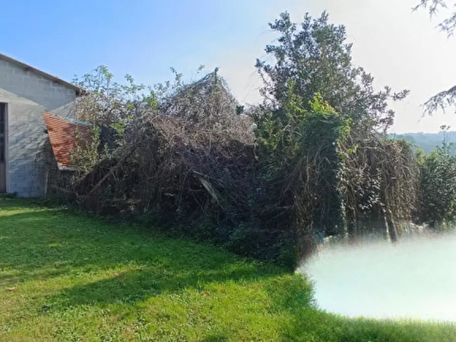 Immagine 4 di Magazzino in vendita  in Contrada Furiasse a Macerata