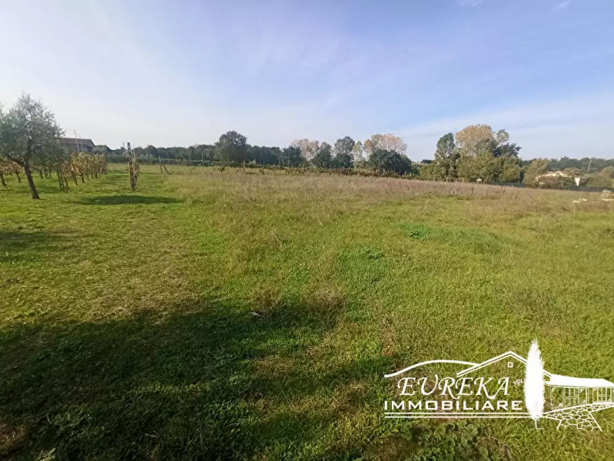 Immagine 1 di Terreno in vendita  in località Vitellino a Castiglione Del Lago