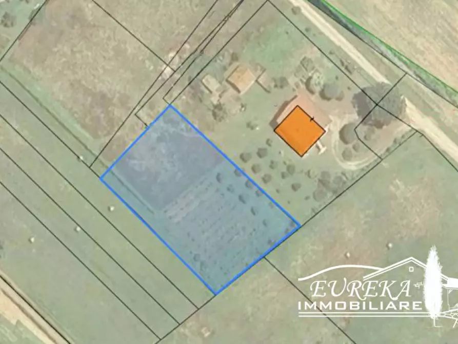 Immagine 3 di Terreno in vendita  in località Vitellino a Castiglione Del Lago