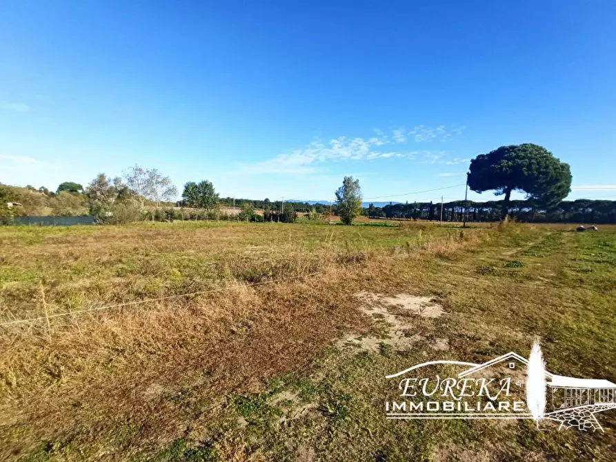 Immagine 4 di Terreno in vendita  in località Vitellino a Castiglione Del Lago