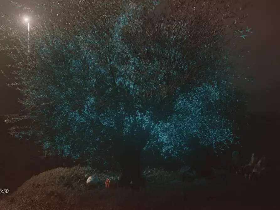 Immagine 51 di Villa in vendita  in Via Oriana Fallaci a San Lazzaro Di Savena