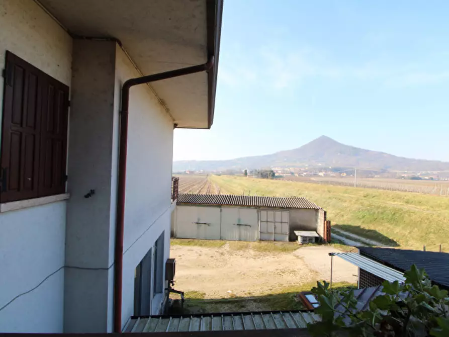 Immagine 28 di Casa bifamiliare in vendita  in VIA BAGNO n. 12 a Cinto Euganeo