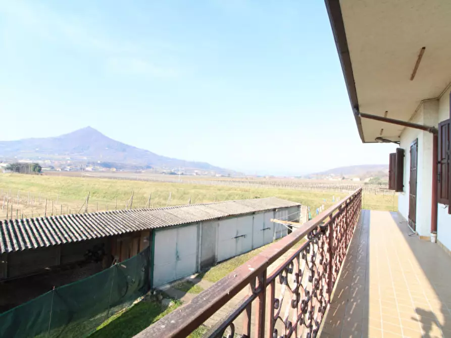 Immagine 29 di Casa bifamiliare in vendita  in VIA BAGNO n. 12 a Cinto Euganeo