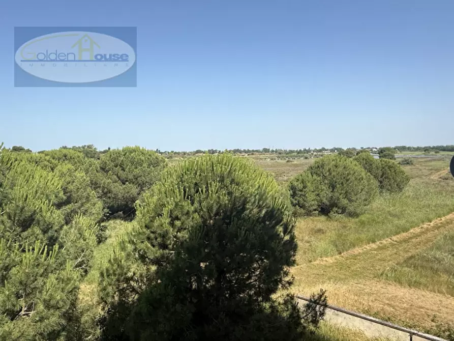 Immagine 32 di Appartamento in vendita  in Via Raffaello Sanzio 116 a Comacchio