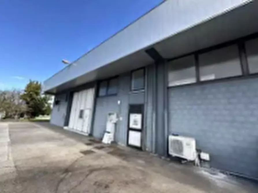 Immagine 2 di Attività commerciale in vendita  in Viale Treviso, 7 a Portogruaro