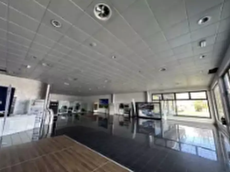 Immagine 6 di Attività commerciale in vendita  in Viale Treviso, 7 a Portogruaro