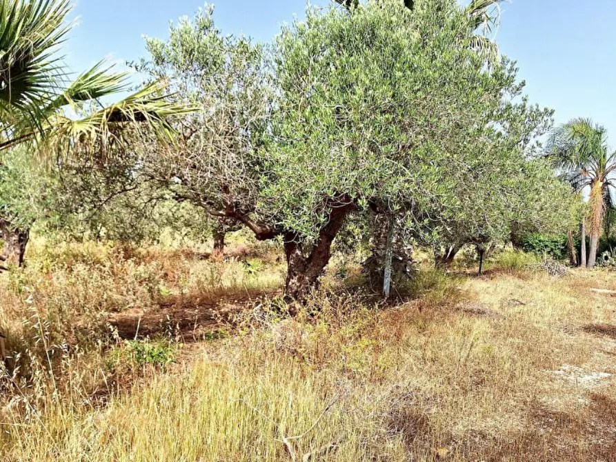 Immagine 18 di Appartamento in vendita  in Via Locogrande, N. 61 a Trapani