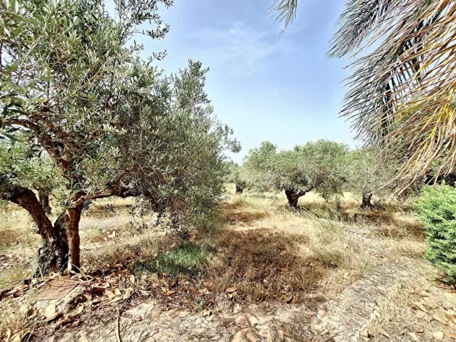 Immagine 19 di Appartamento in vendita  in Via Locogrande, N. 61 a Trapani