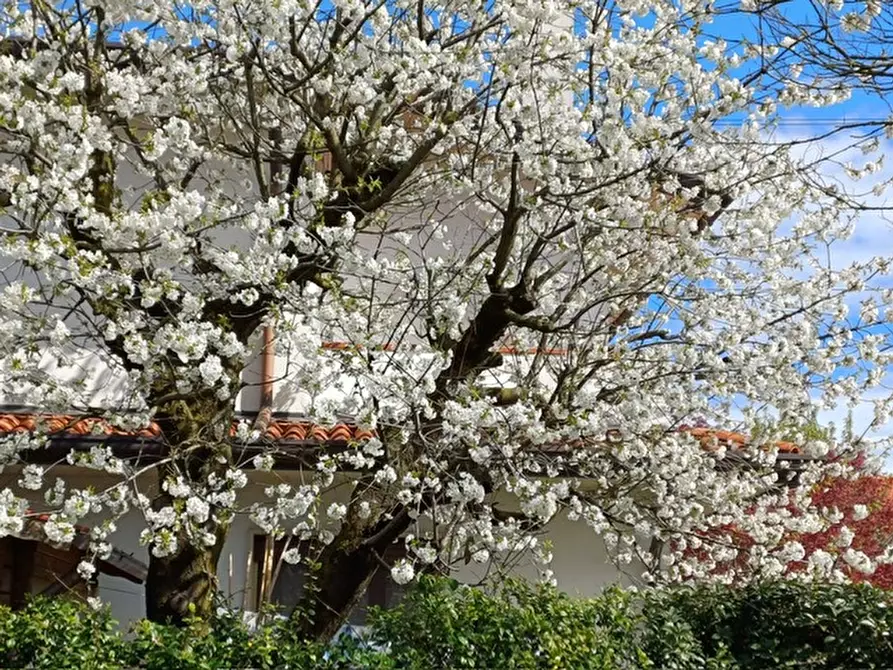 Immagine 10 di Casa bifamiliare in vendita  a Pianiga