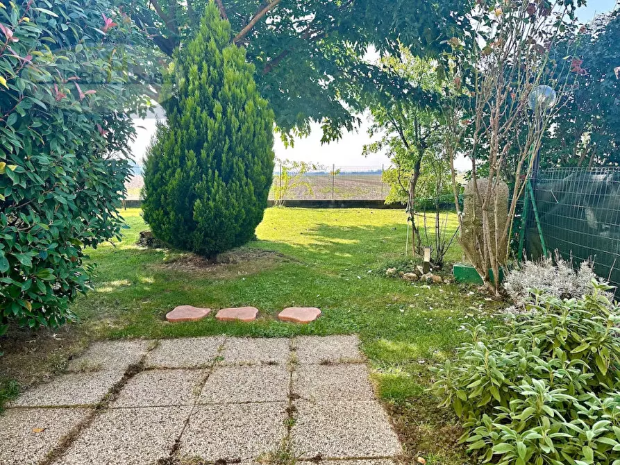 Immagine 29 di Villetta a schiera in vendita  in Via Fiume Vecchio 152/3 a Molinella