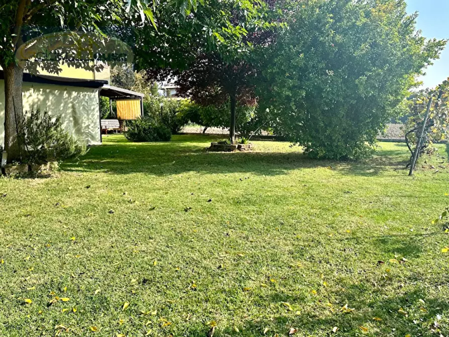 Immagine 30 di Villetta a schiera in vendita  in Via Fiume Vecchio 152/3 a Molinella