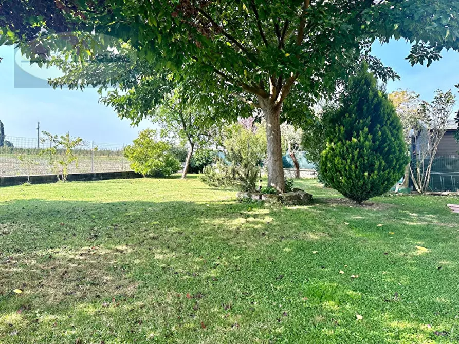 Immagine 35 di Villetta a schiera in vendita  in Via Fiume Vecchio 152/3 a Molinella