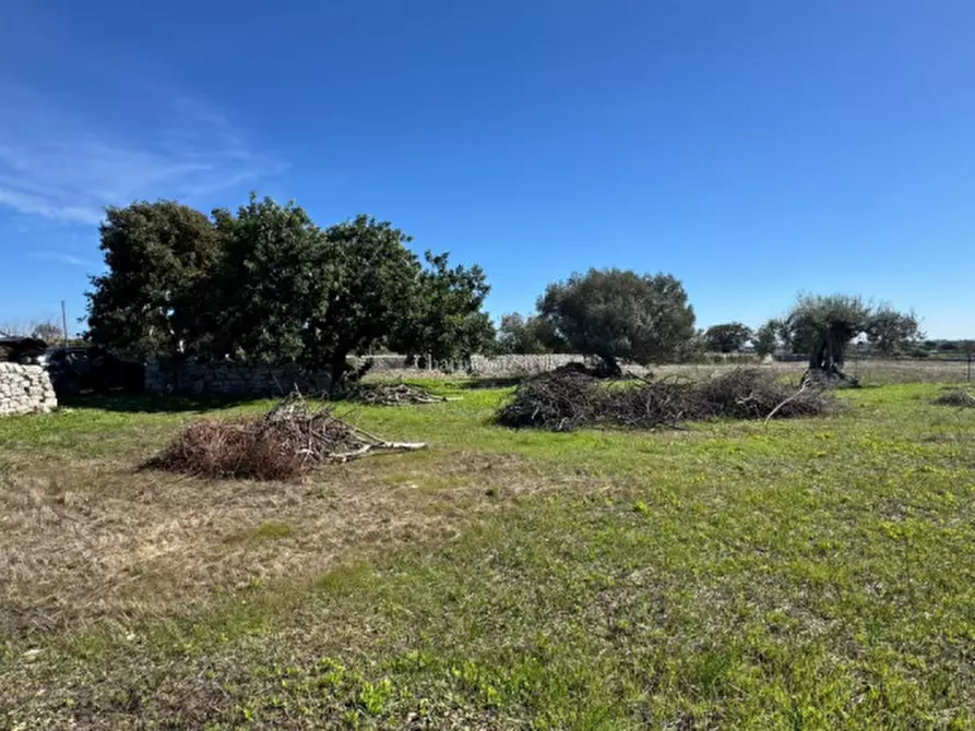 Immagine 4 di Terreno in vendita  in Via Palazzelle Scalonazzo a Modica