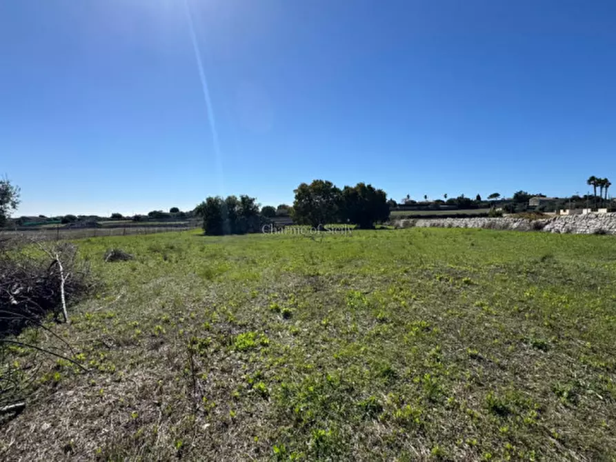 Immagine 6 di Terreno in vendita  in Via Palazzelle Scalonazzo a Modica