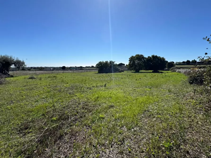 Immagine 7 di Terreno in vendita  in Via Palazzelle Scalonazzo a Modica