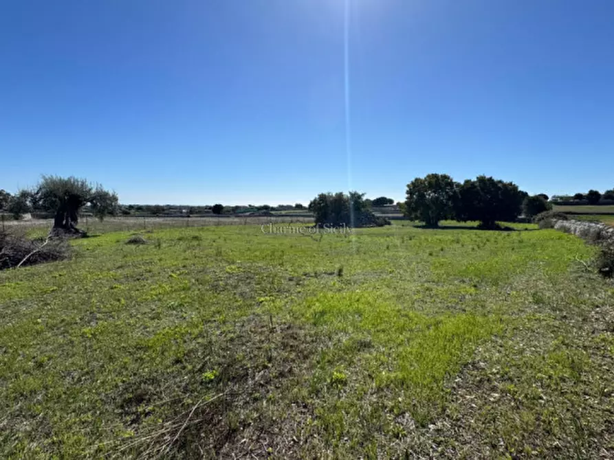 Immagine 8 di Terreno in vendita  in Via Palazzelle Scalonazzo a Modica