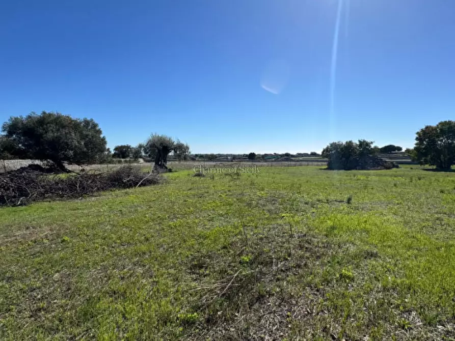 Immagine 9 di Terreno in vendita  in Via Palazzelle Scalonazzo a Modica