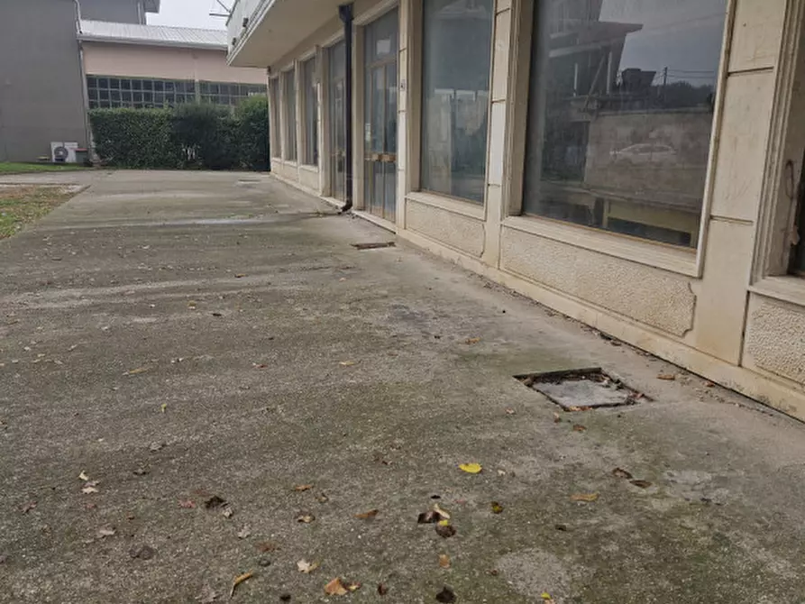 Immagine 2 di Negozio in vendita  a Casale Di Scodosia