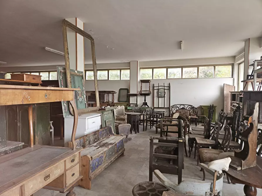 Immagine 6 di Negozio in vendita  a Casale Di Scodosia