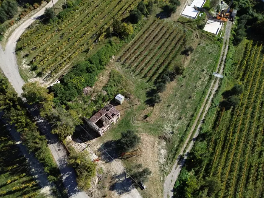 Immagine 2 di Casa indipendente in vendita  in Via Pestrini a Cinto Euganeo