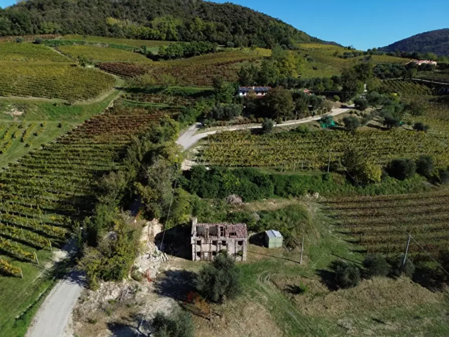 Immagine 3 di Casa indipendente in vendita  in Via Pestrini a Cinto Euganeo