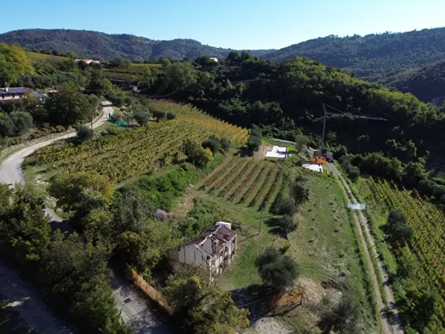 Immagine 4 di Casa indipendente in vendita  in Via Pestrini a Cinto Euganeo