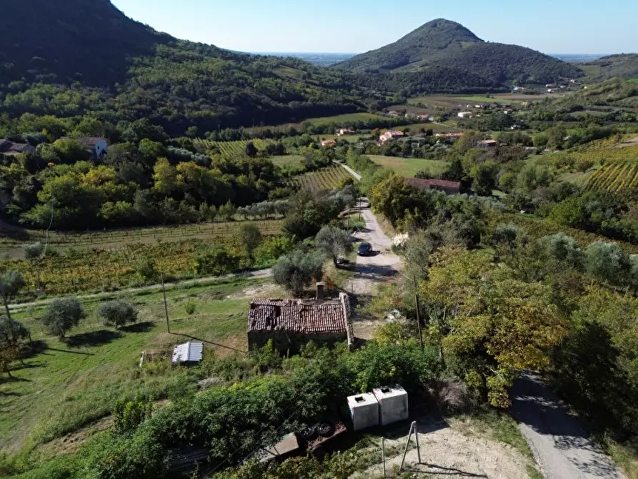 Immagine 5 di Casa indipendente in vendita  in Via Pestrini a Cinto Euganeo