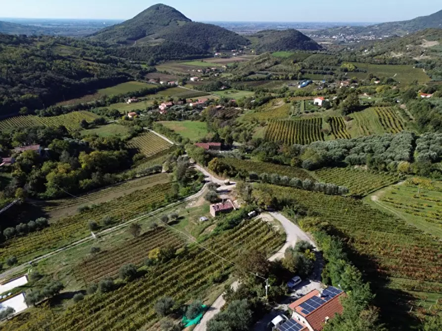 Immagine 6 di Casa indipendente in vendita  in Via Pestrini a Cinto Euganeo