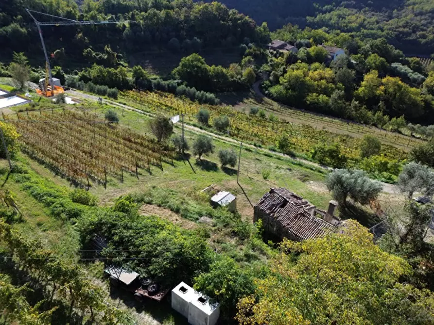 Immagine 8 di Casa indipendente in vendita  in Via Pestrini a Cinto Euganeo