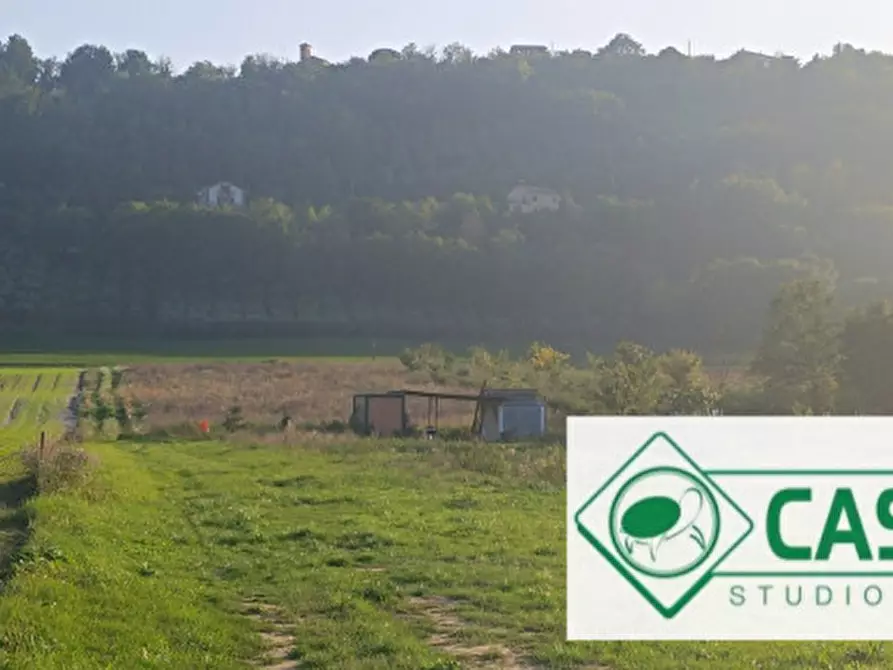 Immagine 4 di Terreno in vendita  in CONTRADA CAMPOGIANO a Corridonia