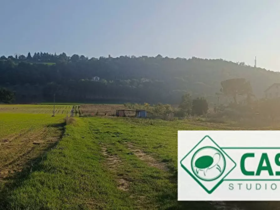 Immagine 5 di Terreno in vendita  in CONTRADA CAMPOGIANO a Corridonia