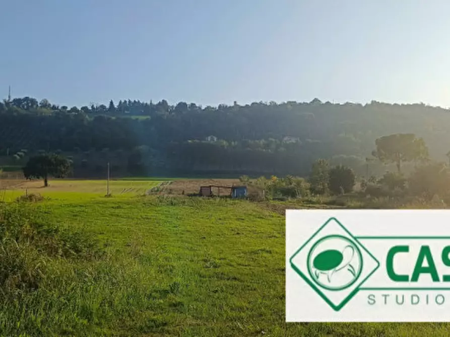Immagine 6 di Terreno in vendita  in CONTRADA CAMPOGIANO a Corridonia