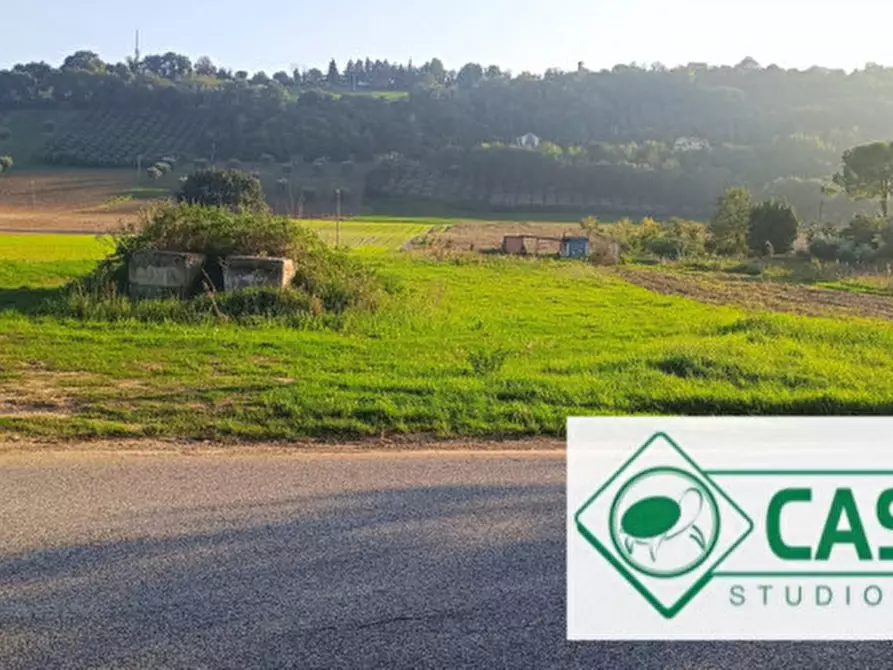 Immagine 7 di Terreno in vendita  in CONTRADA CAMPOGIANO a Corridonia