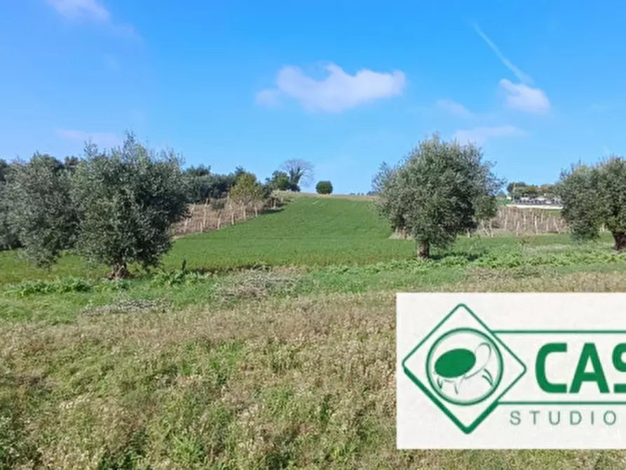 Immagine 1 di Terreno in vendita  in CONTRADA FURIASSE a Macerata