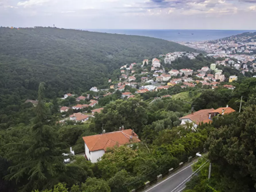 Immagine 1 di Terreno in vendita  in Strada per Basovizza a Trieste