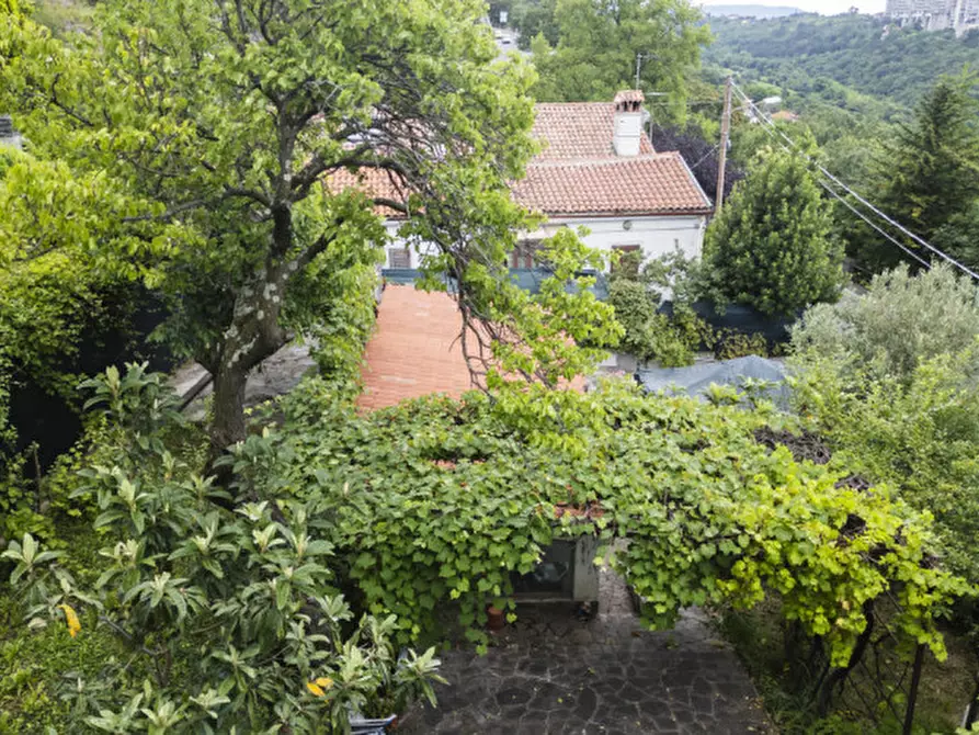 Immagine 3 di Terreno in vendita  in Strada per Basovizza a Trieste
