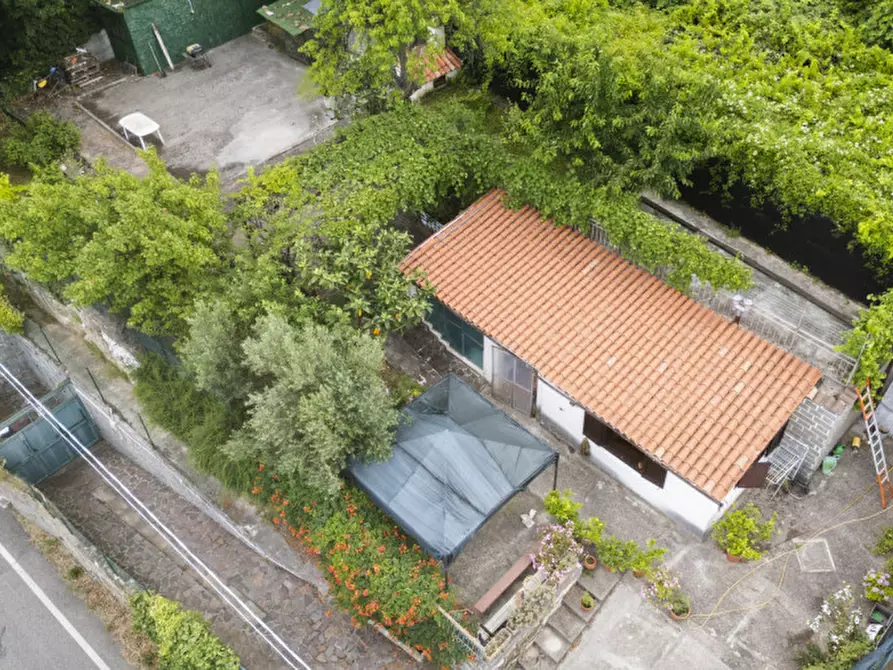 Immagine 5 di Terreno in vendita  in Strada per Basovizza a Trieste