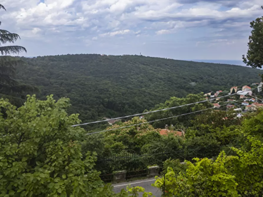 Immagine 7 di Terreno in vendita  in Strada per Basovizza a Trieste