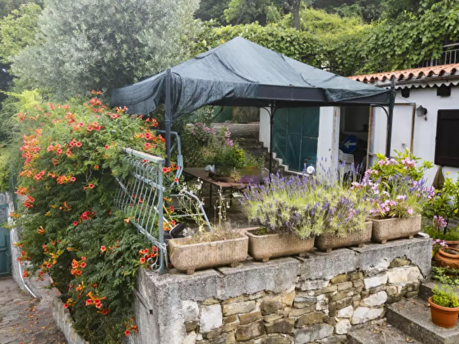 Immagine 7 di Terreno in vendita  in Strada per Basovizza a Trieste