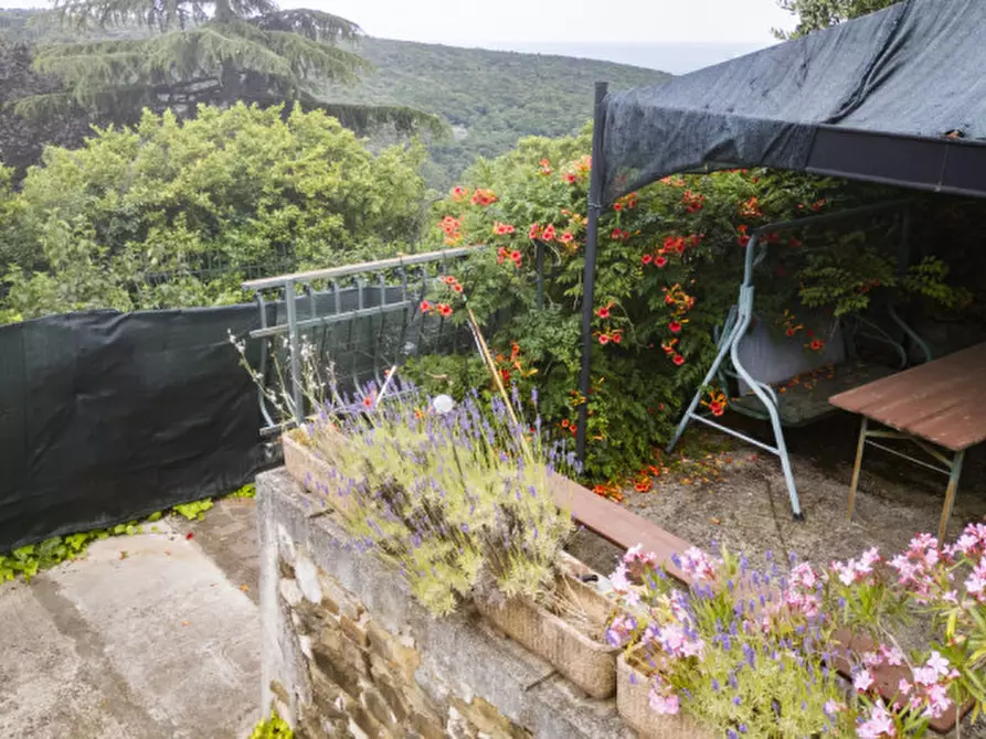 Immagine 8 di Terreno in vendita  in Strada per Basovizza a Trieste