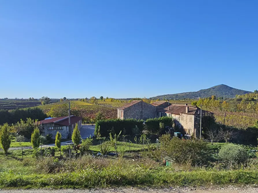 Immagine 1 di Terreno in vendita  in VIA ARGINE BISATTO a Cinto Euganeo