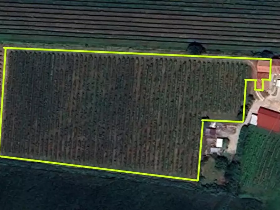 Immagine 2 di Terreno in vendita  in VIA ARGINE BISATTO a Cinto Euganeo