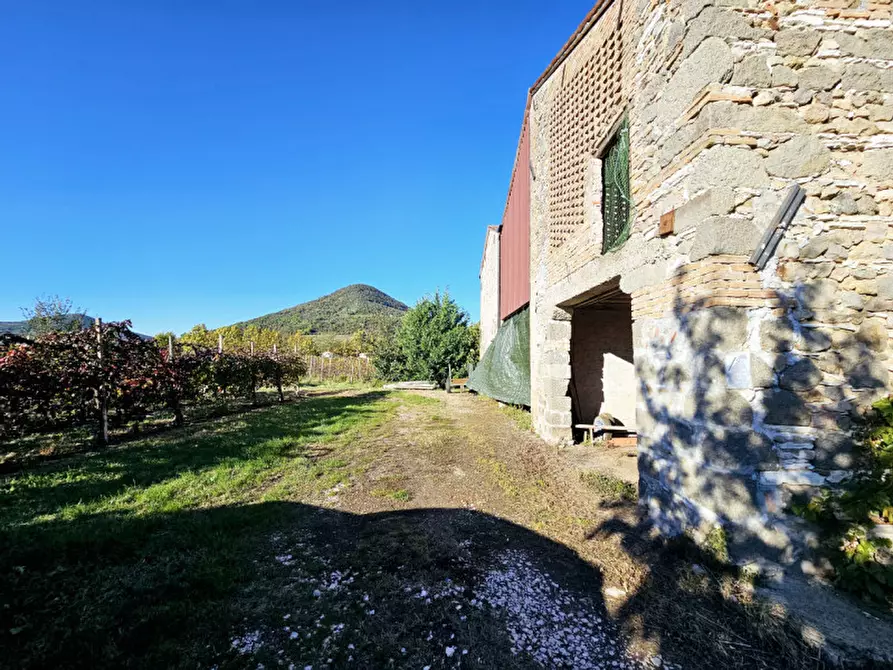 Immagine 4 di Terreno in vendita  in VIA ARGINE BISATTO a Cinto Euganeo