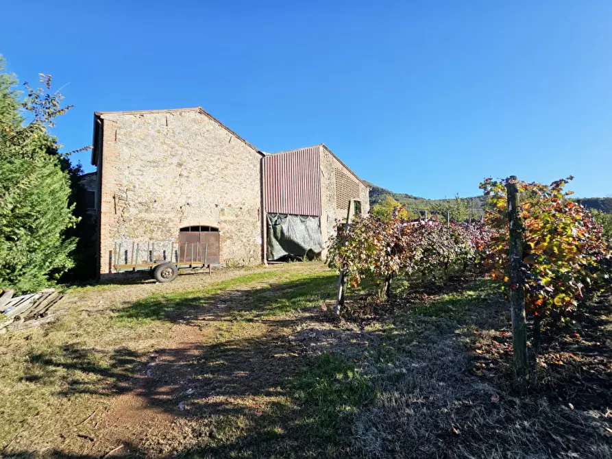 Immagine 9 di Terreno in vendita  in VIA ARGINE BISATTO a Cinto Euganeo