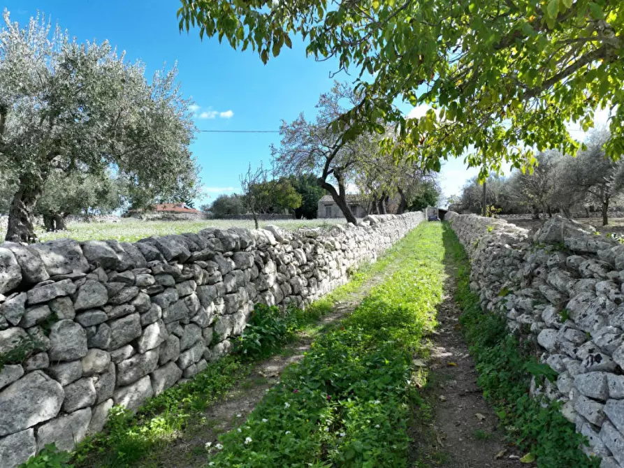 Immagine 15 di Casa indipendente in vendita  in Contrada Saitta Martisiello a Modica