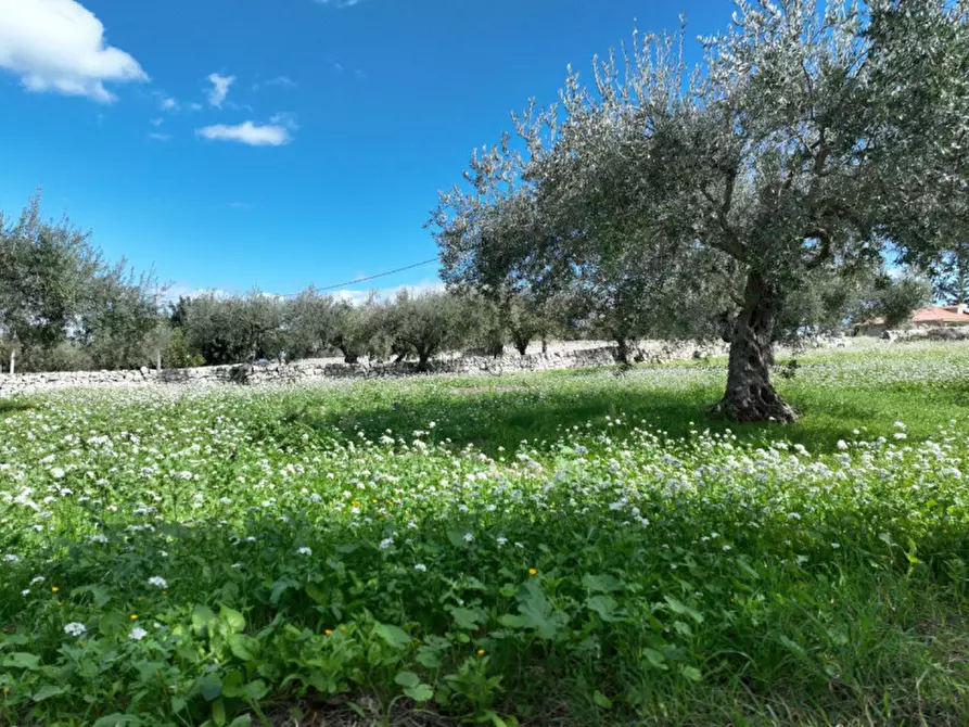 Immagine 16 di Casa indipendente in vendita  in Contrada Saitta Martisiello a Modica